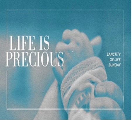 Fearfully & Wonderfully Made in the Image of God